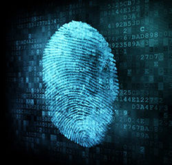 Digital Forensic Systems